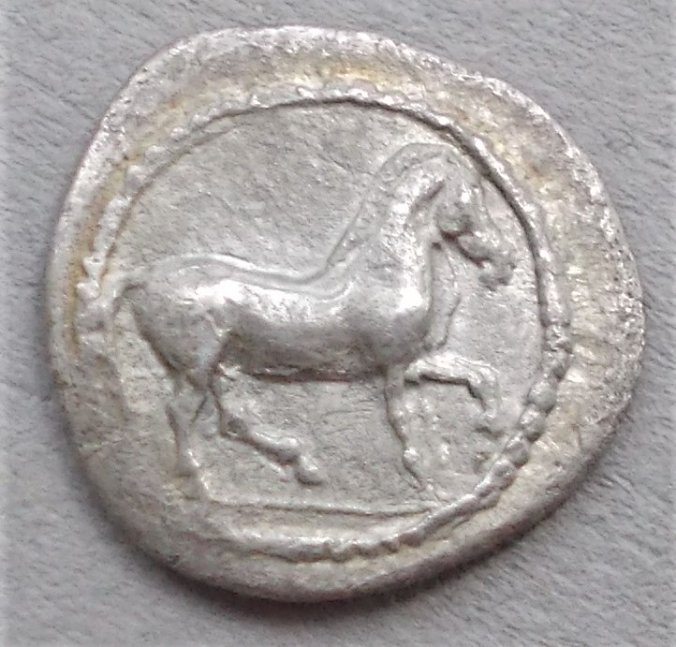 Post-Your-Coins-With-Horses